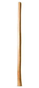 Natural Finish Didgeridoo (TW962)